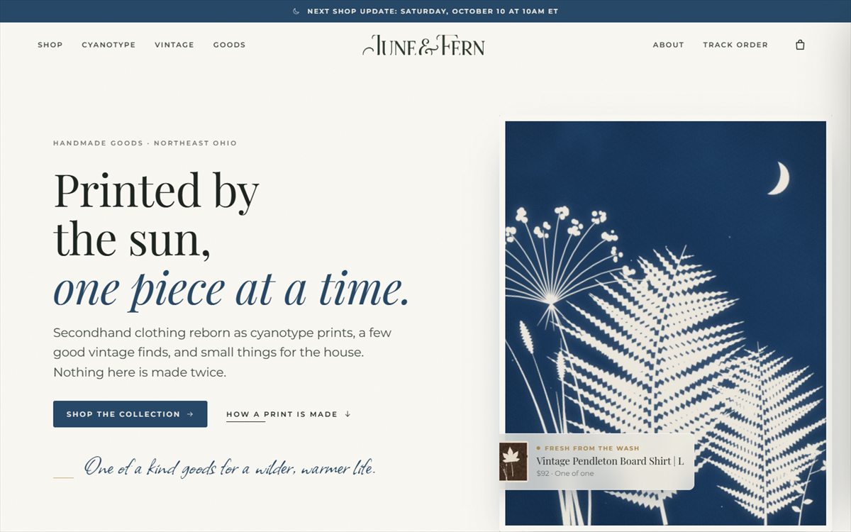 June & Fern storefront: the headline Printed by the sun, one piece at a time, beside a blue cyanotype print of ferns